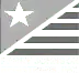 Perry Johson Logo
